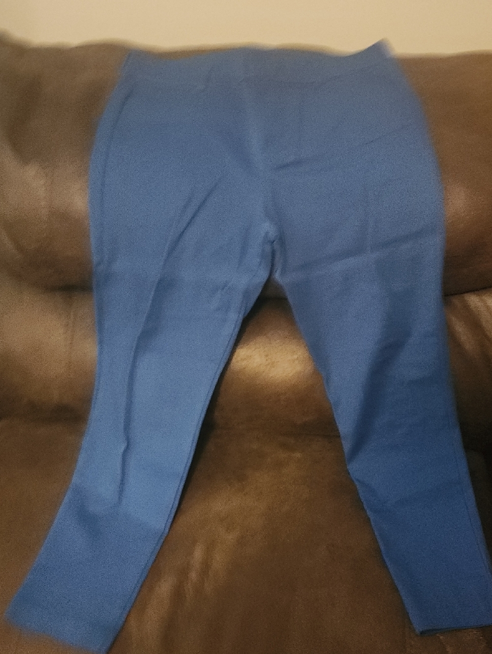 Blue Stretch Pixie Knit Pants